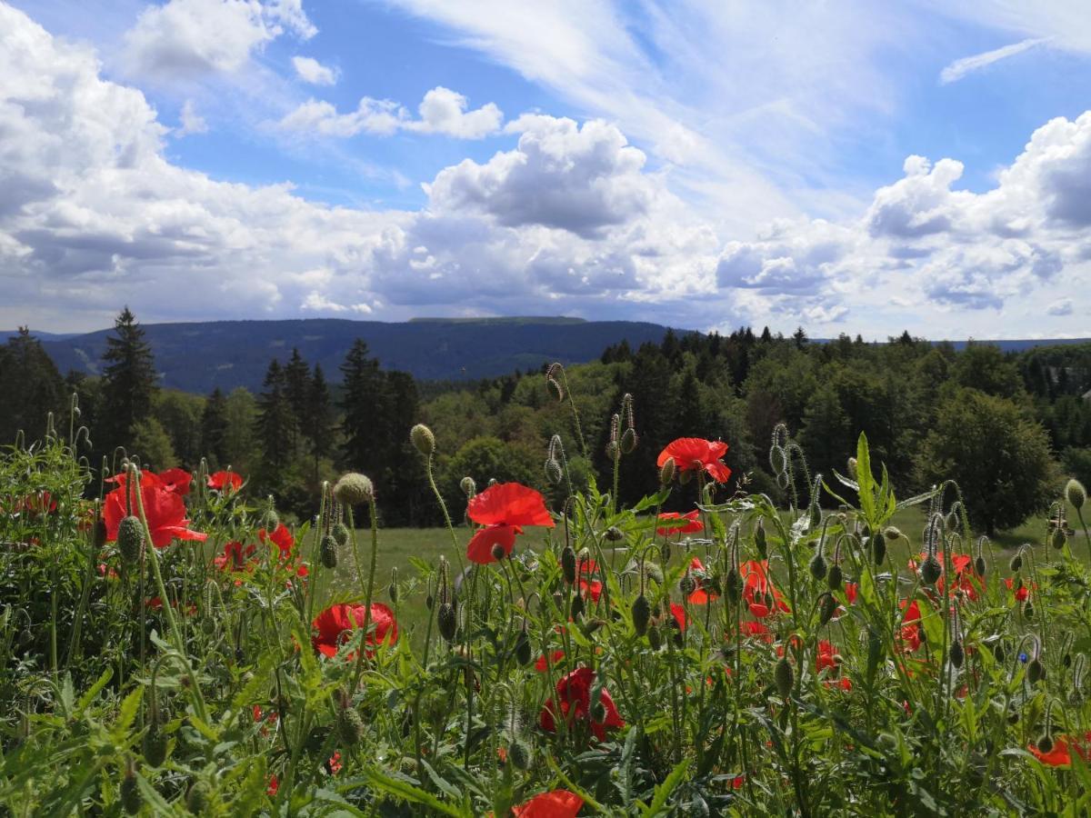 Hotel Schoene Aussicht Masserberg Zewnętrze zdjęcie