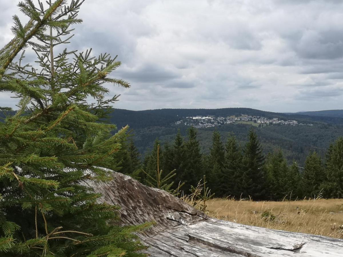 Hotel Schoene Aussicht Masserberg Zewnętrze zdjęcie