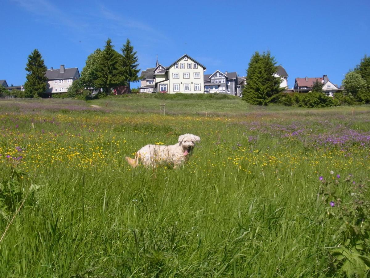 Hotel Schoene Aussicht Masserberg Zewnętrze zdjęcie