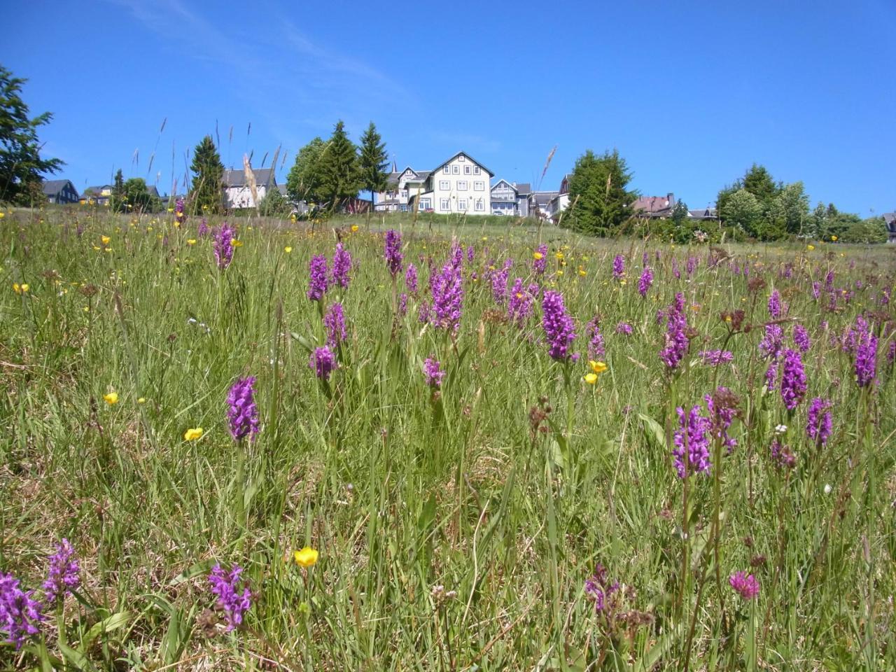 Hotel Schoene Aussicht Masserberg Zewnętrze zdjęcie
